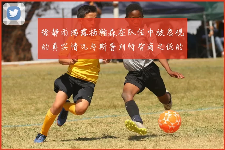 徐静雨揭露杨瀚森在队伍中被忽视的真实情况与斯普利特智商之低的尴尬真相